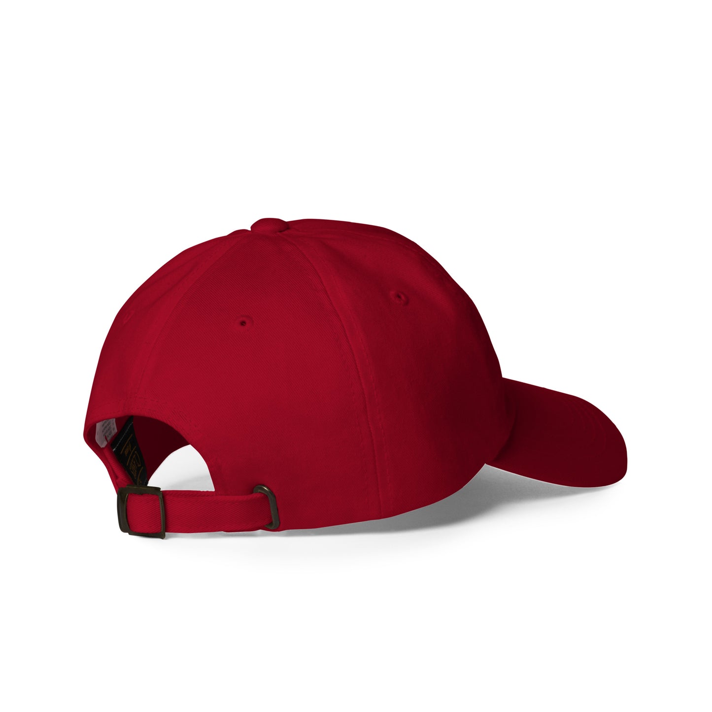 Make Iran Flat Again Hat